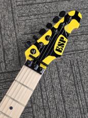 ESP YELLOW TIGER 「今なら在庫あります」_6