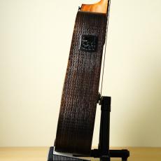 LAG Guitars SAUVAGE-DCE_8