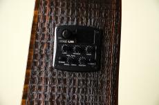 LAG Guitars SAUVAGE-DCE_9