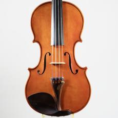 ImportStrings L.Laterrenia/1985