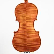 ImportStrings L.Laterrenia/1985_2