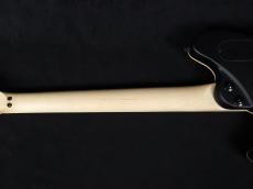 EVH Wolfgang Special Stealth Black_8