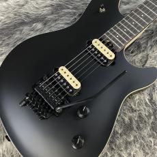 EVH Wolfgang Special Stealth Black_6
