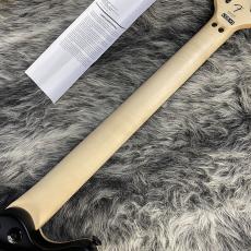 EVH Wolfgang Special Stealth Black_8