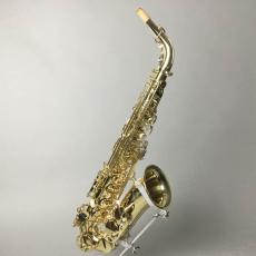 YANAGISAWA A-WO10