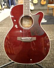 Takamine DMP551C WR #62080498【実物写真】【福岡店在庫】【金利手数料0%】【送料当社負担】