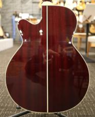 Takamine 【当店限定特典付】DMP551C WR #62070306【2ピックアップ仕様】【金利手数料0%】【送料当社負担】_5