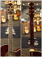 Takamine 【当店限定特典付】DMP551C WR #62070306【2ピックアップ仕様】【金利手数料0%】【送料当社負担】_9