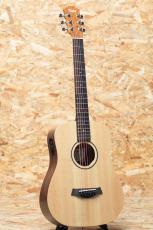 Taylor Baby Taylor BT1e_3