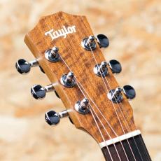 Taylor Baby Taylor BT1e_4