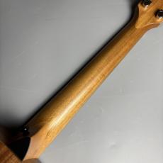 Taylor 【現物画像】GS Mini Sapele アコースティックギター_7