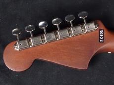 Fender Newporter Player Sunburst_9