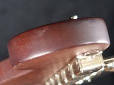 Fender Newporter Player Sunburst_10