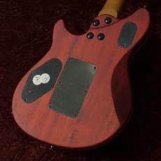 EVH Wolfgang WG Standard Exotic Zebrawood Baked Maple Fingerboard Natural_2