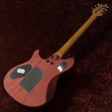 EVH Wolfgang WG Standard Exotic Zebrawood Baked Maple Fingerboard Natural_5