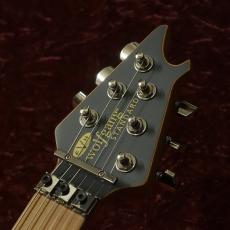 EVH Wolfgang WG Standard Exotic Zebrawood Baked Maple Fingerboard Natural_7