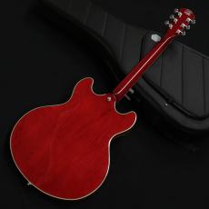 Sire H7 STR 【次回入荷より価格改定】_5