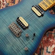 Sire Larry Carlton T7 FM New Gen TBL_3