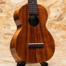 Kamaka HF-2 Concert 2012