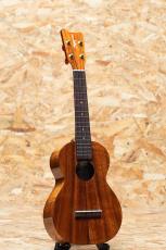 Kamaka HF-2 Concert 2012_3
