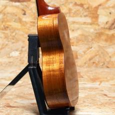 Kamaka HF-2 Concert 2012_5