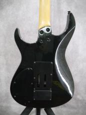 FERNANDES  FRS-85 SUSTAINIAC搭載_4
