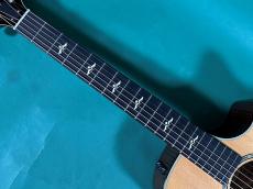 Taylor 614ce First Edition_7