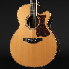 Takamine DMP50S NT ~Natural~
