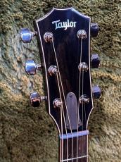 Taylor 【実機動画あり】Catch Custom #11 Whiskey Sunrise / C24ce B5011 -Shamel Ash- #1203115092_4