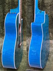 Taylor 【実機動画あり】614ce LTD Big Leaf Maple -Aquamarine- #1203125062【48回迄金利0%対象】【送料当社負担】_9