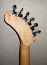 FERNANDES DIGI-ZO アルティマ_4