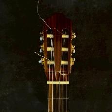 ARIA A-50C-63【1.50kg】_4