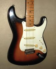 Fender STRATOCASTER_4