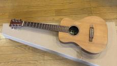 Martin LX1
