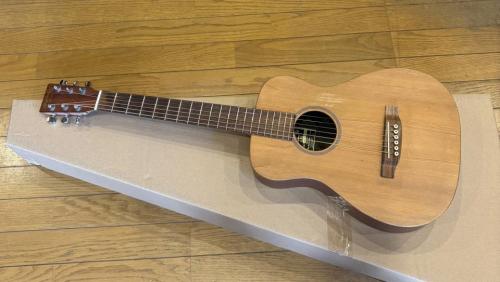 Martin LX1