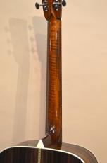 Collings D-2HG German/Indian　2020年頃_10