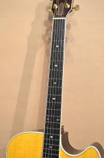 Taylor DCSM Dan Crary Signature　2000年製_6