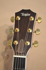 Taylor DCSM Dan Crary Signature　2000年製_7