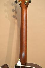Taylor DCSM Dan Crary Signature　2000年製_10