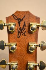 Taylor DCSM Dan Crary Signature　2000年製_14