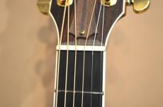 Taylor DCSM Dan Crary Signature　2000年製_16
