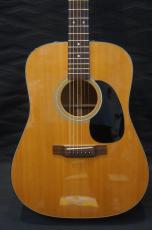 Martin D-18_2