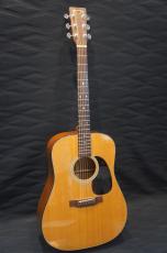 Martin D-18_5