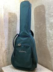 Eastman  PCH2-GACE-BK【入門用にも2本目のギターにもオススメ】【専門スタッフによる調整を施し納品】【送料無料】【池袋店在庫品】_11