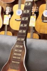 KAMICO by KAY Lap Steel Guitar 【6弦】_4
