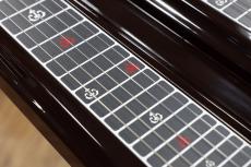 CANOPUS "Buckie" 6 Strings Double Neck Lap Steel Guitar【脚付】_4