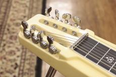 CANOPUS YS8S 【8弦】【脚付】【Special P.U】_2