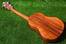 Big Island KT-TR Tenor_4