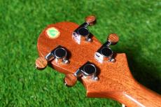 Big Island KT-TR Tenor_6