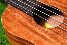 Big Island KT-TR Tenor_11
